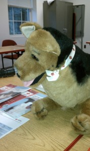 Red Cross CPR Dog